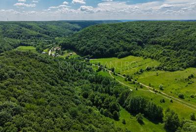 Teren Pasune + Arabil - Valea Mare Podgoria Arges - 16