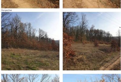 Teren in suprafata de 2.410 mp mp Paleu, jud. Bihor (licitatie) - 3