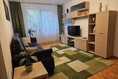 Apartament cu 3 camere de vanzare Gorjului - 1