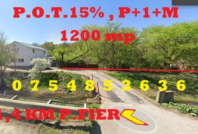 Central . 1200 mp la 1,4 km din Podu de Fier , toate utilitatile - 1