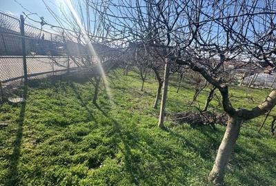 Teren intravilan de vanzare in Barabant - 2