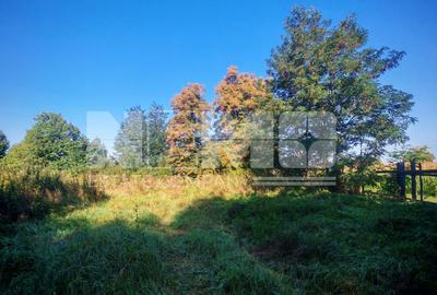 TEREN INTRAVILAN | FRATĂUȚII NOI | 1.1 HA - 4