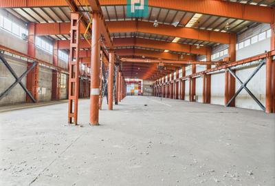 Hală industrială cu pod rulant și parcare betonată - 6