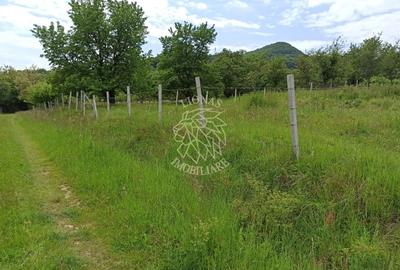 Teren 1000mp+cota drum-ideal cabana/investitie-panorama-Valea Rusului - 3