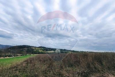 Teren cu panorama superba în Berchezoaia + bonus rulota - 2