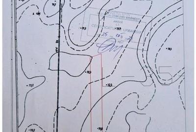 Teren intravilan de vânzare Brănești – DN3, deschidere 60 ml  investie - 13