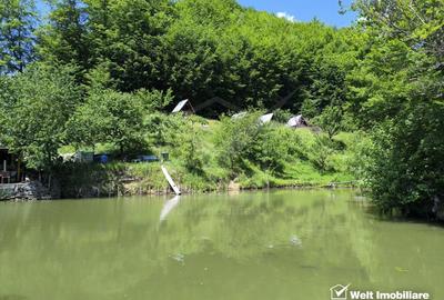 Casa de vacanta, cu lac, 5640 mp teren, Huta, com. Chiuiesti, jud. Cluj - 10