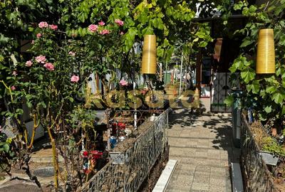 OPORTUNITATE | CASĂ INDIVIDUALĂ CU TEREN 360 MP | BUCUREȘTII NOI - 14