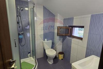 Casă de închiriat în zona Lascar Catargiu - 11