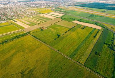 Teren de 10.000 mp situat în Bujac, Arad - 3