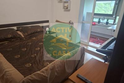 Apartament 3 camere, etaj intermediar, mobilat - 10