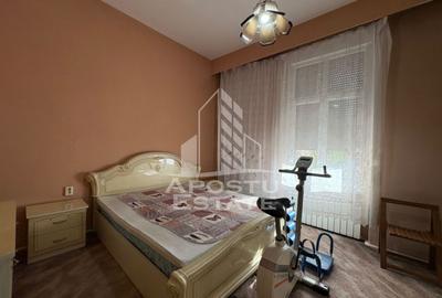 Vilă cu potențial comercial și rezidențial in zona Sinaia Timisoara - 9