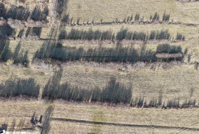 Teren intravilan Bran - Predelut - 45