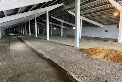 Hale de inchiriat localitatea M. Kogalniceanu Tulcea - 8