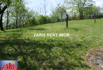 Vanzare 3658 mp teren intravilan in Predeal-Sarari, Prahova - 7