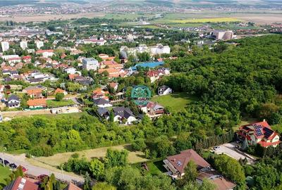 Ocazie Unica - Teren la Platoul Cornesti la doar 134 euro + TVA ! - 1464 mp - 4