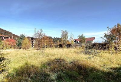 Teren Intravilan Bunloc - 9