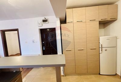 Apartament cu 3 camere de închiriat în zona Nufarul - 4