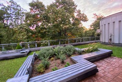 Heimdall Suite | Penthouse 4 camere Kiseleff - 4