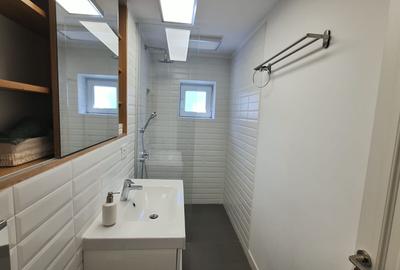 Mihai Bravu-Baba Novac- - 13