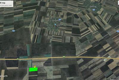 Teren agricol 10 ha, Peregul Mare, langa autostrada - 2
