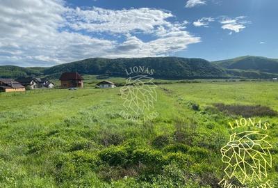 Teren intravilan-Crainimat -3000mp-ideal investitie construire casa - 3