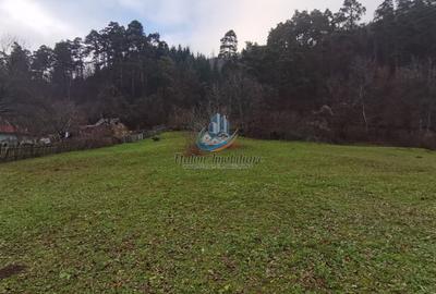 Teren Straja – Pangarati 3560 m, zona de Pensiune - 12