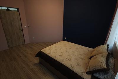 Vila individuala la 30 km de Timișoara - 21
