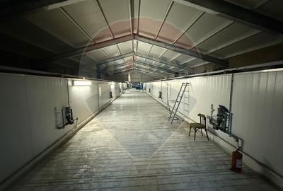 Ferma agro-industrială – 43 ha Adunații Copaceni - 27