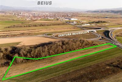 RECO Teren extravilan aproape de zona industriala Beius - 3