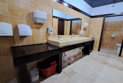 SPATIU BIROU- CLADIRE BIROURI PREMIUM - 28