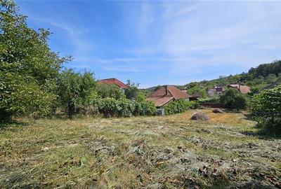 Casa individuala+anexe SU-290mp, teren 2000mp, Zimbor-nod Autostrada - 9