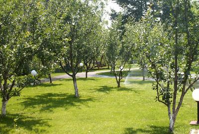 Vila Valea Prahovei Cornu , 15 camere, piscina int.,pretabila camin varstnici - 7