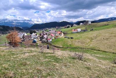 Teren Intravilan de Poveste în Fundata 3.694 mp și 4.793mp - 4