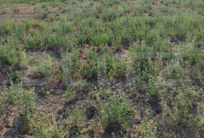 Teren intravilan Craiova, 400 mp, zona Releu - 1