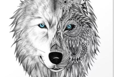 Apartament 2 camere Brasov - 1