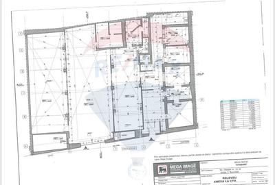 OPORTUNITATE! 500 mp Teiul Doamnei Energie gratis - 4