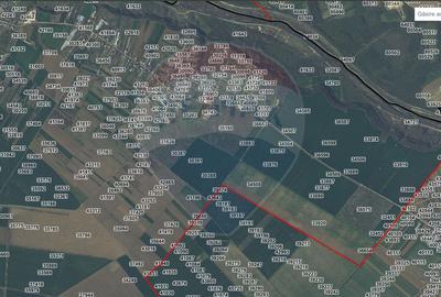 Vanzare Teren Constructii Adunatii-Copaceni, Deschidere Directa la DN5 - 3