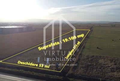 Teren agricol intravilan de 19100 mp, în Veterani