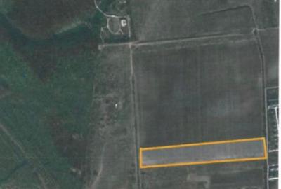 Teren Ostratu-Tamasi // OPORTUNITATE INVESTITII - 5