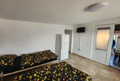 De inchiriat casa pentru muncitori in Sanandrei, la doar 5 km de Timisoara. - 8