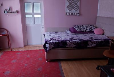 Casa zona Puskin scoala 1 - 5
