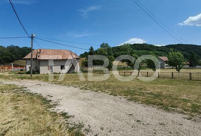 Platforma industriala cu cladiri de vanzare in Salistea de Alba - 21