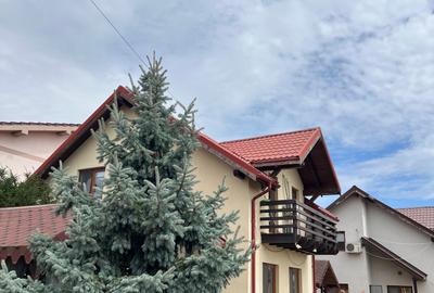 Vile individuale, cu curte generoasă și spații de recreere - 1