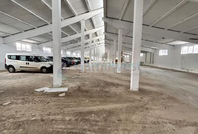 Hala de depozitare industriala Bors - 1