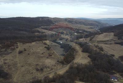 Teren 999 mp. Front 15,70 ml. Valea Garbaului - Floresti - 8