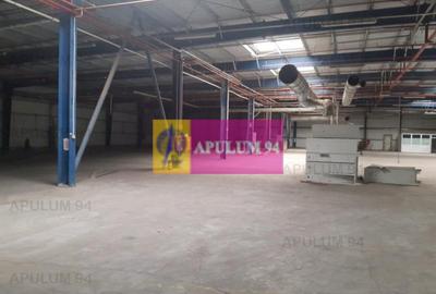 Spatiu Logistic langa Bucuresti Hala 5000 mp - 24