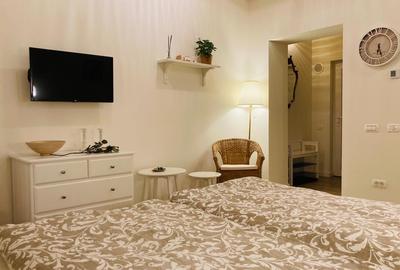 Studio modern de închiriat, str. Horea - 3