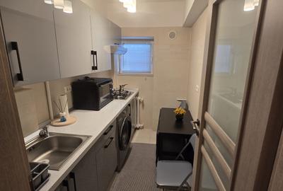 2 camere, modern, renovat, Piata Domenii, Bulevardul Ion Mihalache, nr 142, - 13