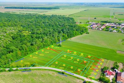 PROMOTIE! Loturi Valea Calugareasca langa padure,utilitati. RATE! PUZ FINALIZAT - 1